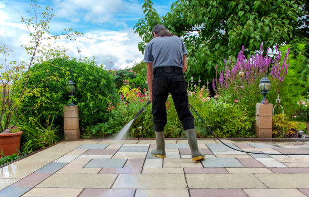 Best Fence Cleaning  in Dravosburg, PA